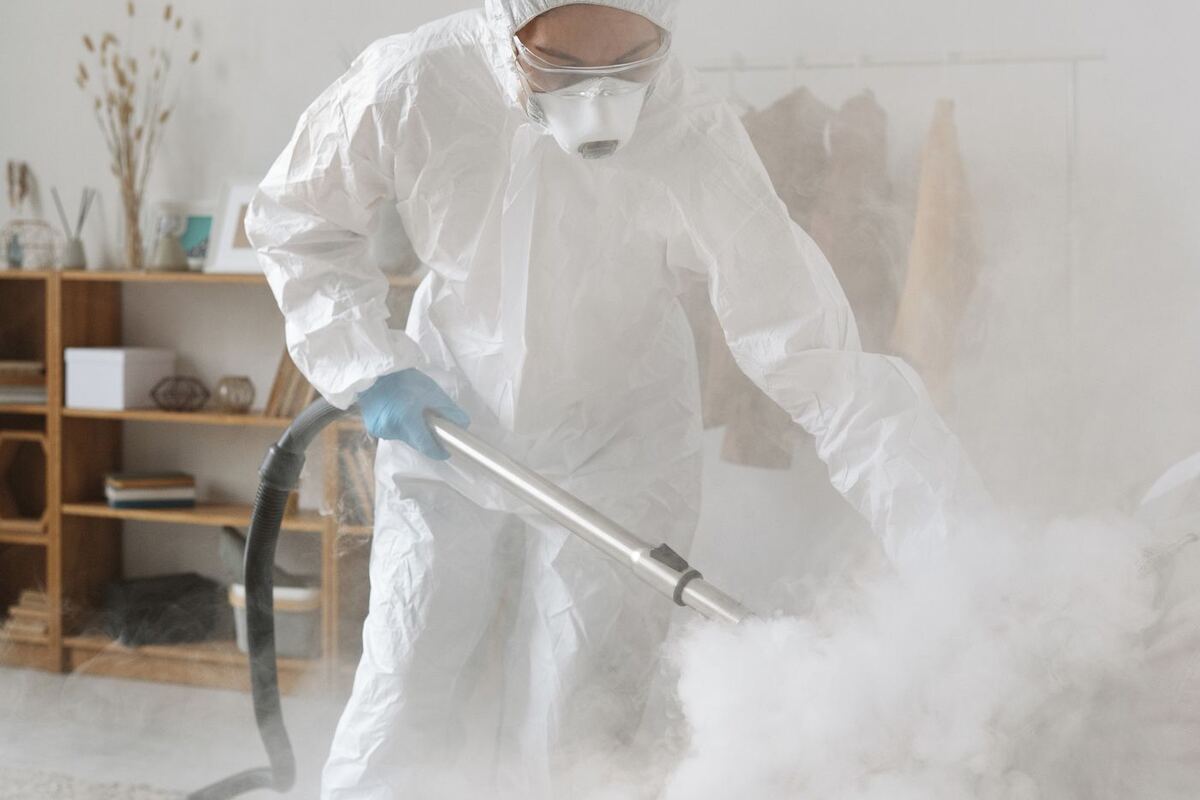 Technician steam-cleaning a sofa with a professional extraction wand.